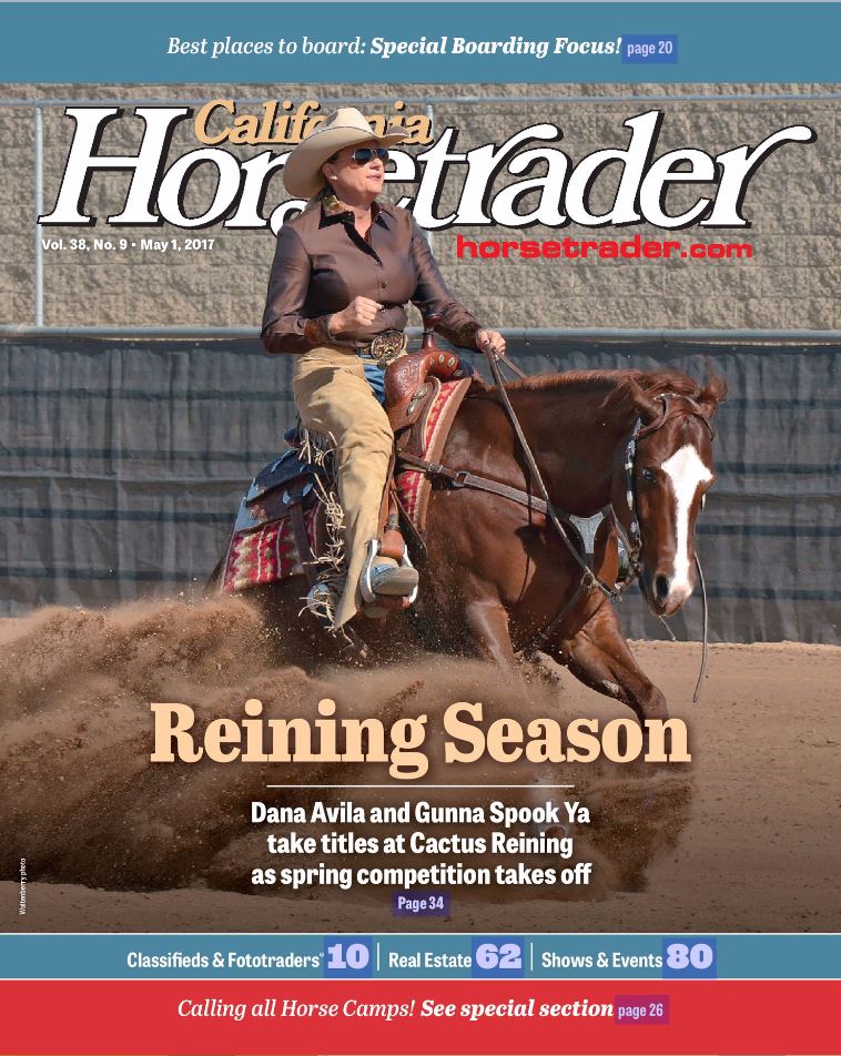 Read Horse Trader Online Magazine