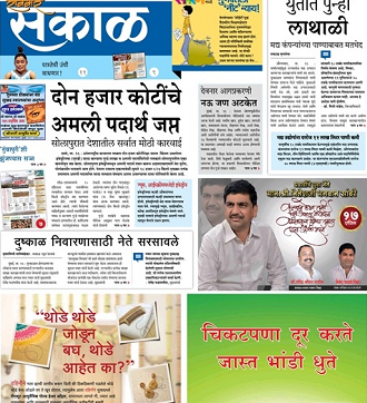 book review sakal epaper